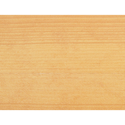 Renner Impregnante Classico all'Acqua per Legno RMxx10 | 750 ml – 2,5 lt