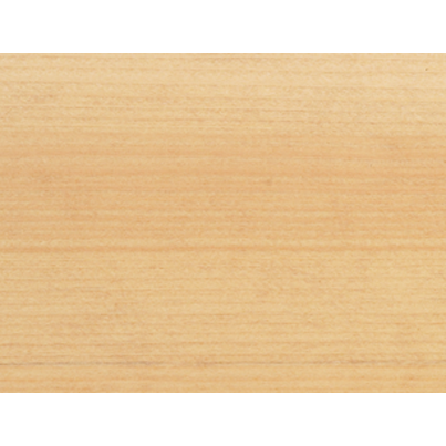 Renner Impregnante Classico all'Acqua per Legno RMxx10 | 750 ml – 2,5 lt